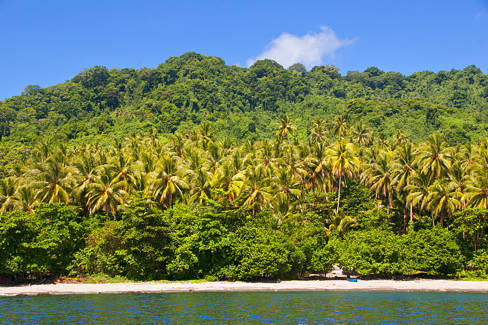 Beach on Savo Island, Solomon Islands, Pacific