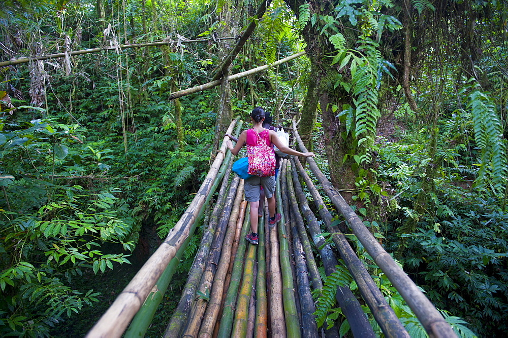 Bamboo bridge in the interior leading to Millennium cave, Island of Espiritu Santo, Vanuatu, South Pacific, Pacific