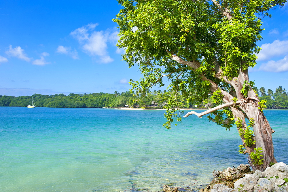 View across the bay to  Oyster island, Island of Espiritu Santo, Vanuatu, South Pacific, Pacific