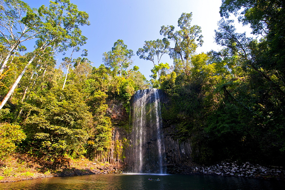 Millaa Millaa Falls, Atherton Tablelands, Queensland, Australia, Pacific