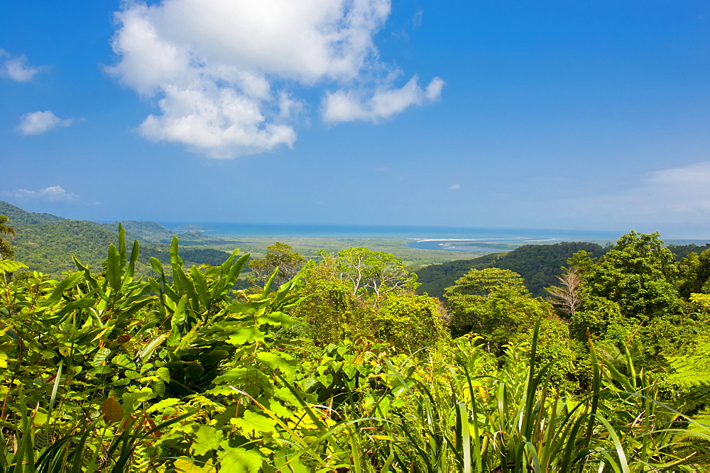 Cape Tribulation, Queensland, Australia, Pacific