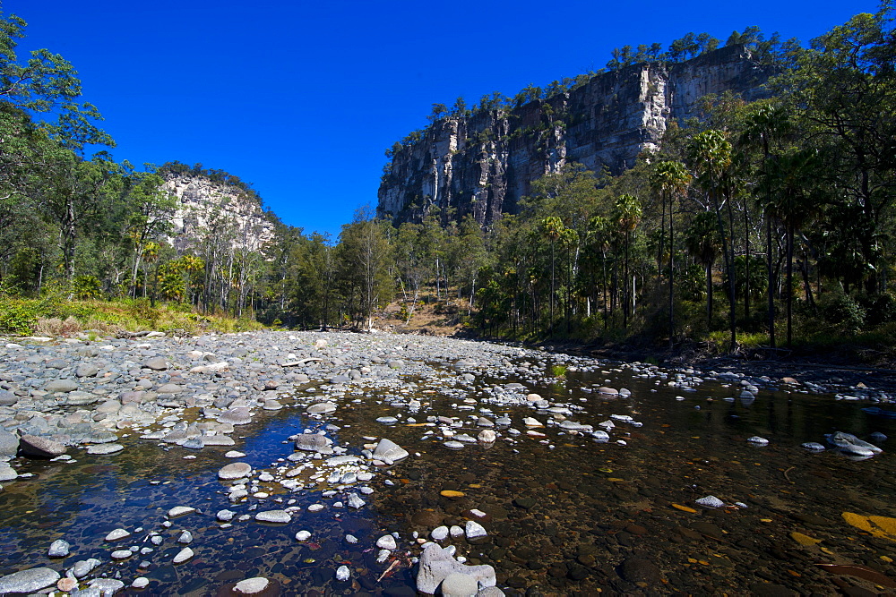 River flowing through the Carnarvon Gorge, Queensland, Australia, Pacific