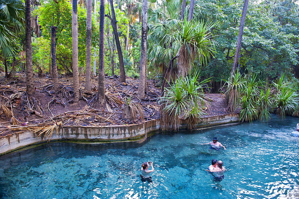 Mataranka thermal pool in the outback of the Northern Territory,  Australia, Pacific