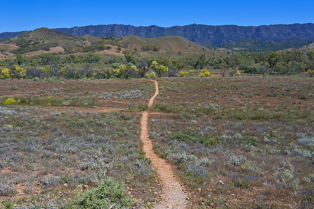 Dusty road leading in the Flinders National Park, South Australia, Australia, Pacific