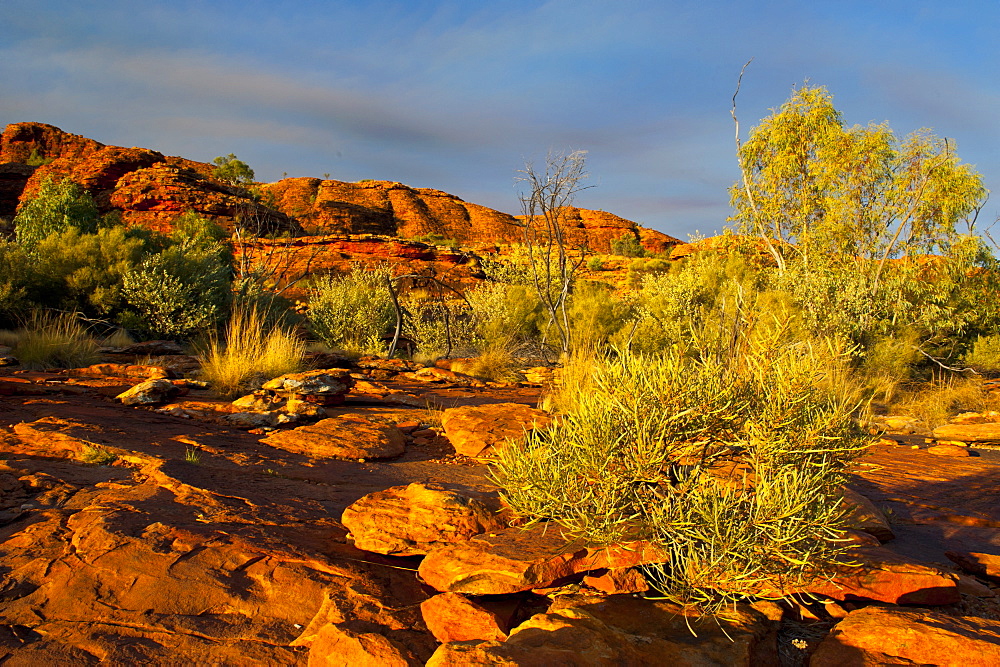 Kings Canyon, Northern Territory, Australia, Pacific