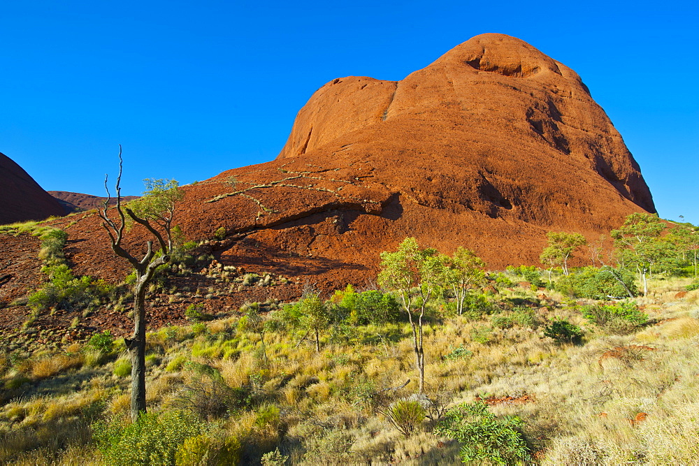 The Olgas (Kata Tjuta), Uluru-Kata Tjuta National Park, UNESCO World Heritage Site, Northern Territory, Australia, Pacific