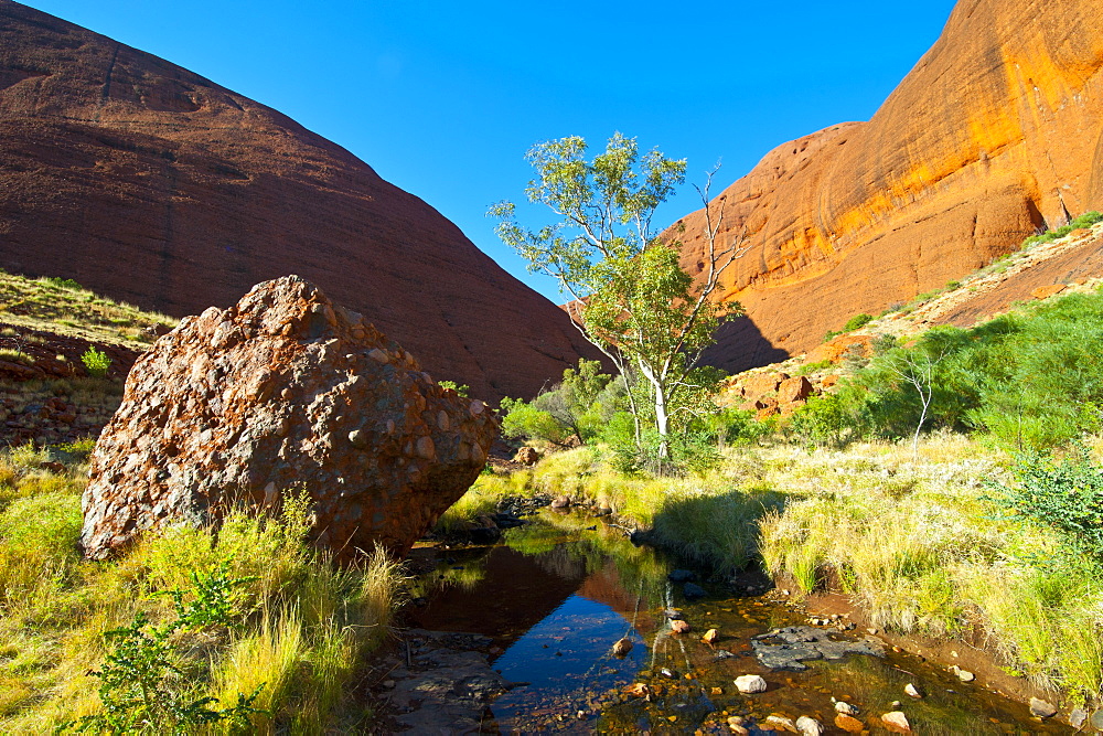 The Olgas (Kata Tjuta), Uluru-Kata Tjuta National Park, UNESCO World Heritage Site, Northern Territory, Australia, Pacific