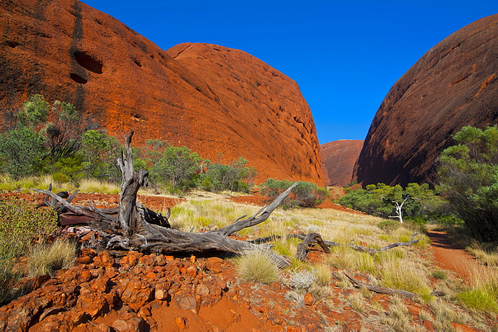 The Olgas (Kata Tjuta), Uluru-Kata Tjuta National Park, UNESCO World Heritage Site, Northern Territory, Australia, Pacific