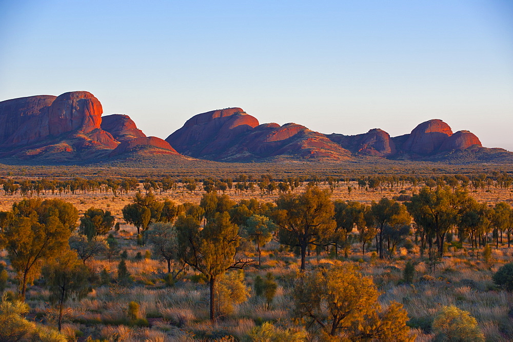 The Olgas (Kata Tjuta), Uluru-Kata Tjuta National Park, UNESCO World Heritage Site, Northern Territory, Australia, Pacific