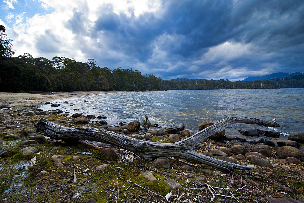 Lake St. Claire, Tasmania, Australia, Pacific 