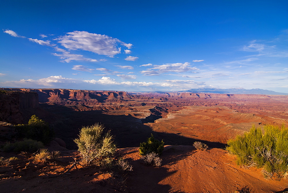 Islands in the Sky, Canyonlands National Park, Utah, United States of America, North America