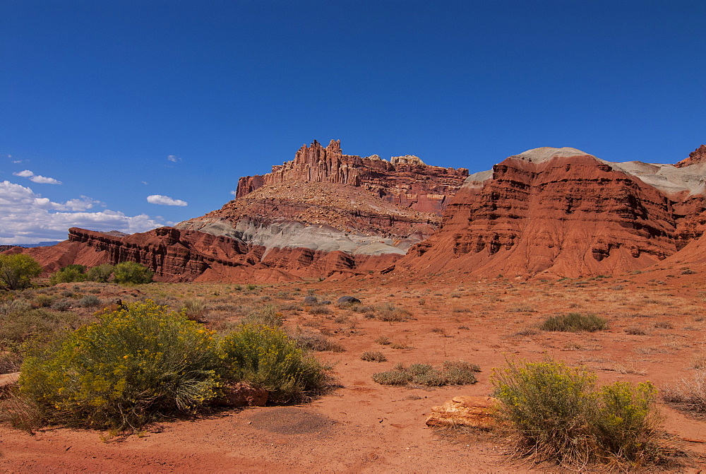 Capitol Reef, Utah, United States of America, North America