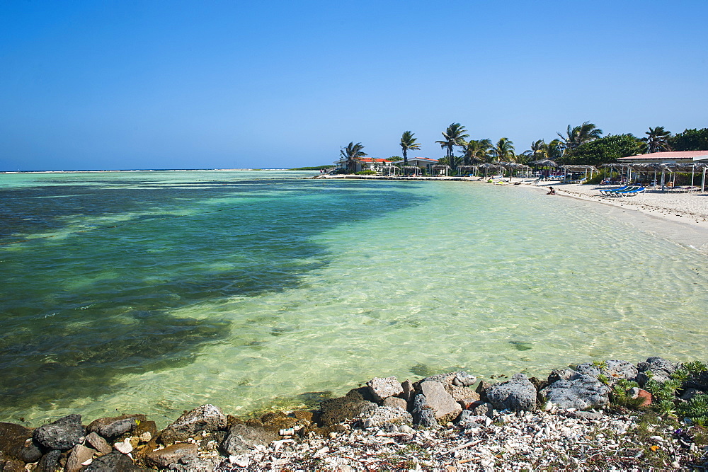 Turquoise water Lac Bay, Bonaire, ABC Islands, Netherlands Antilles, Caribbean, Central America