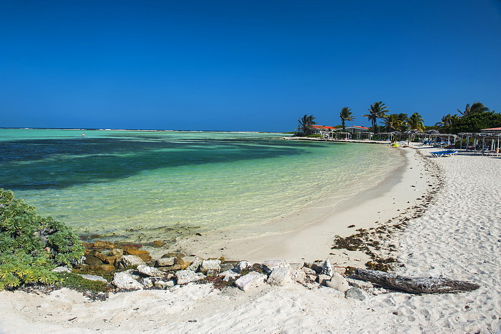 Turquoise water Lac Bay, Bonaire, ABC Islands, Netherlands Antilles, Caribbean, Central America