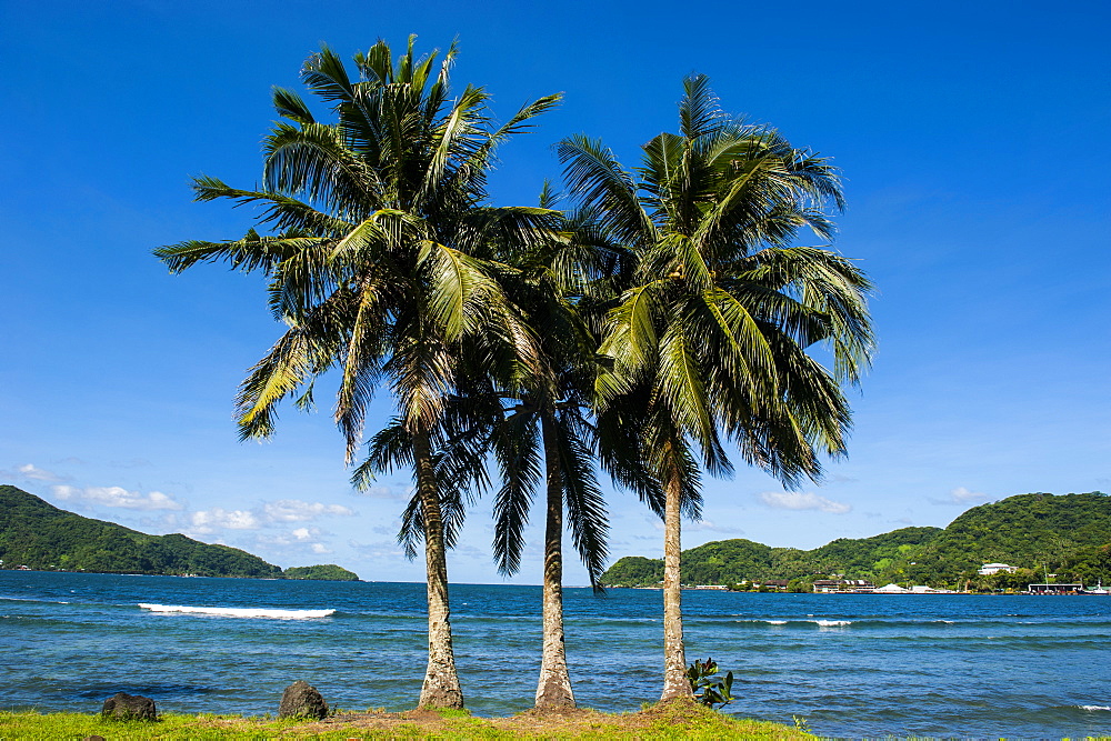 The Pago Pago harbour, Tutuila Island, American Samoa, South Pacific, Pacific