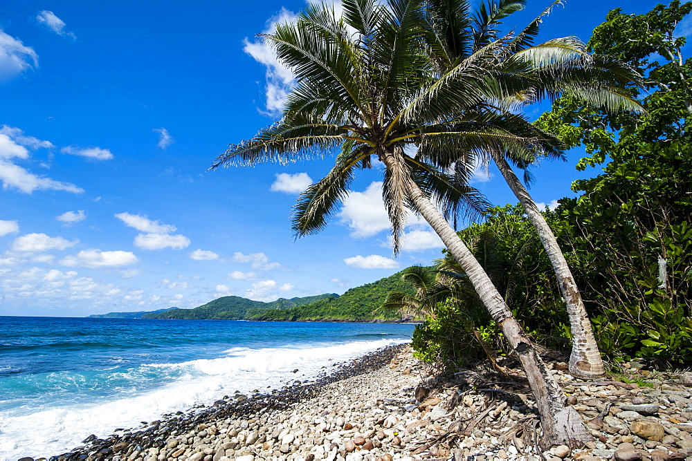 National Park of American Samoa, Tutuila Island, American Samoa, South Pacific, Pacific