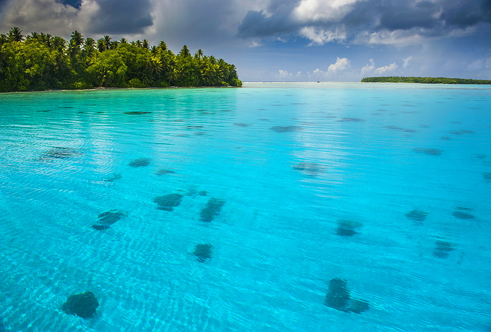 Beautiful turquoise water in the Ant Atoll, Pohnpei, Micronesia, Pacific