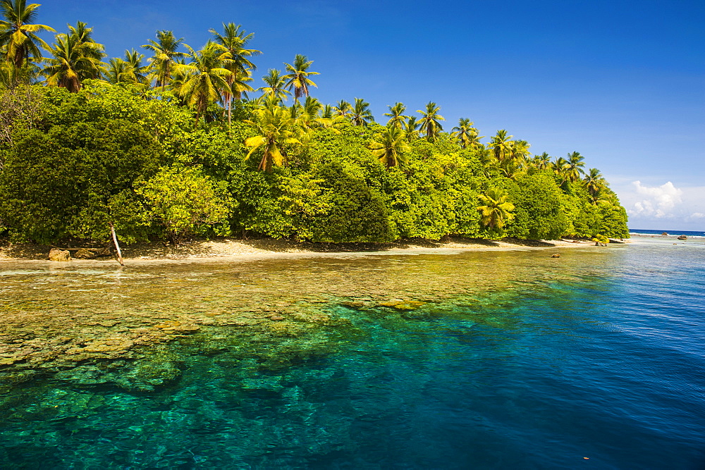 Crystal clear water and an islet in the Ant Atoll, Pohnpei, Micronesia, Pacific