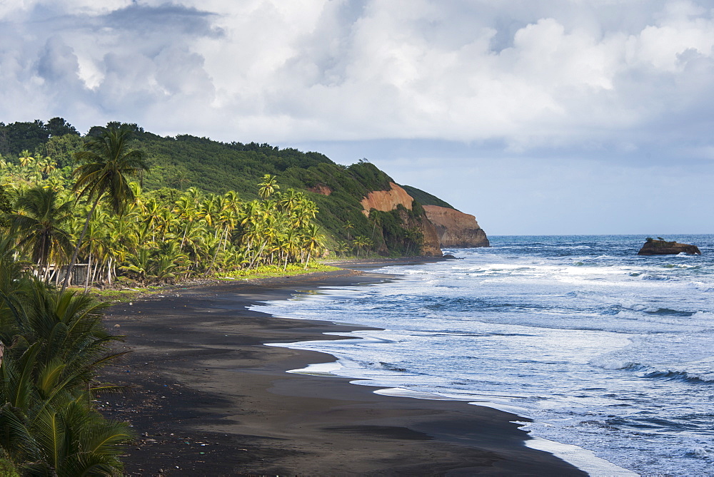 East coast of Dominica, West Indies, Caribbean, Central America  