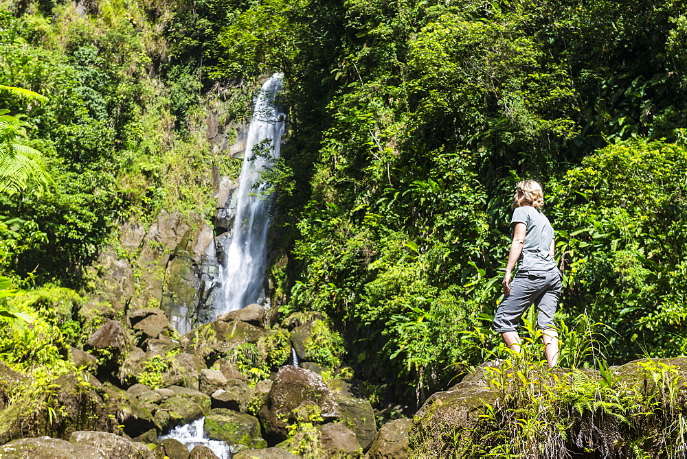 Tourist looking at the Trafalgar Falls, Morne Trois Pitons National Park, UNESCO World Heritage Site, Dominica, West Indies, Caribbean, Central America