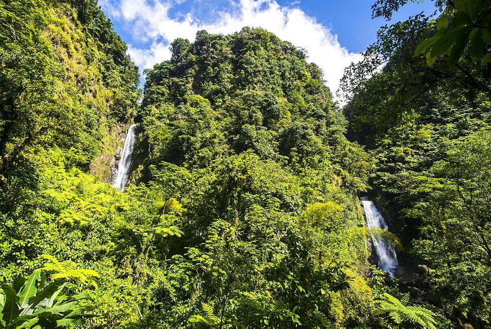 Trafalgar Falls, Morne Trois Pitons National Park, UNESCO World Heritage Site, Dominica, West Indies, Caribbean, Central America 