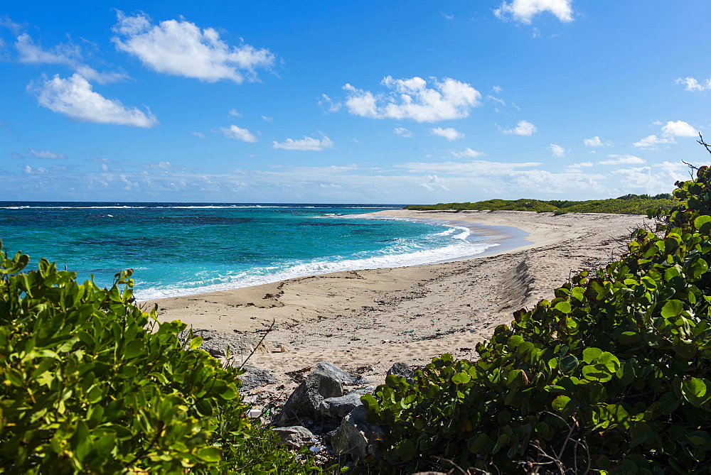 Remote white sand beach in Barbuda, Antigua and Barbuda, West Indies, Caribbean, Central America