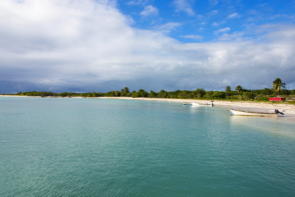 White sand in the Gravenor bay in Barbuda, Antigua and Barbuda, West Indies, Caribbean, Central America