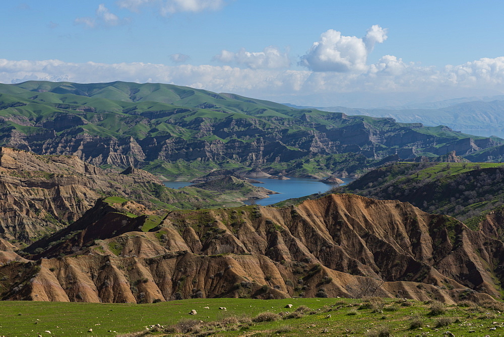 Green scenery around the Darbandikhan artificial lake on the border of Iran, Iraq Kurdistan, Iraq, Middle East 