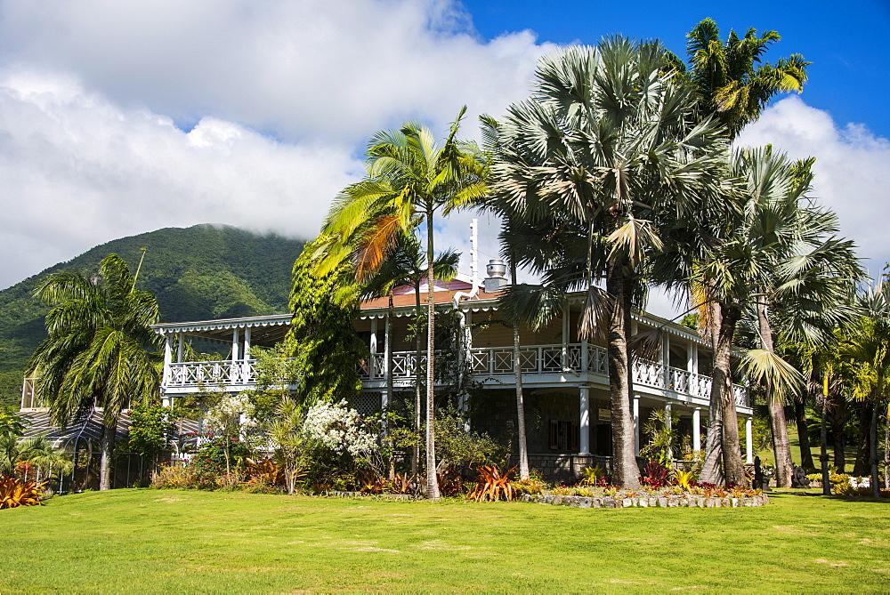 Botanical Gardens on Nevis Island, St. Kitts and Nevis, Leeward Islands, West Indies, Caribbean, Central America 