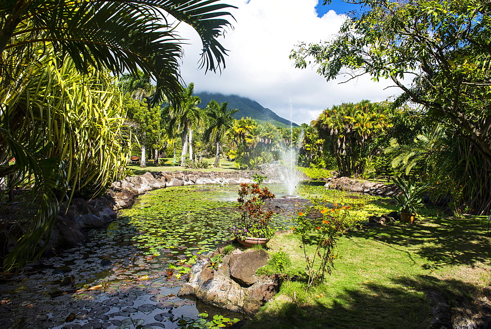 Botanical Gardens on Nevis Island, St. Kitts and Nevis, Leeward Islands, West Indies, Caribbean, Central America 