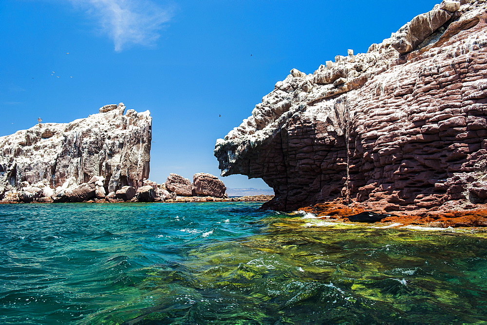 Sea lion colony at Isla Espiritu Santo, Baja California, Mexico, North America 