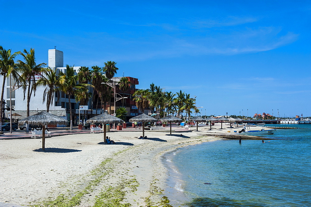 Town beach of La Paz, Baja California, Mexico, North America 