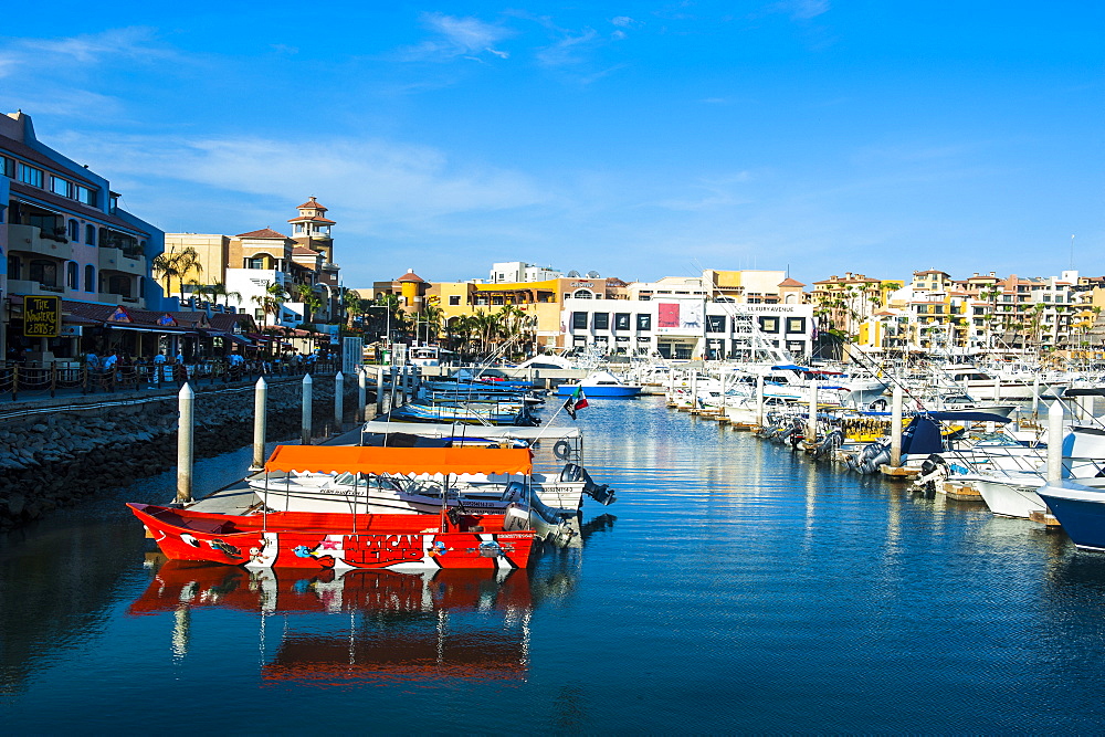 The harbour of Los Cabos, Baja California, Mexico, North America