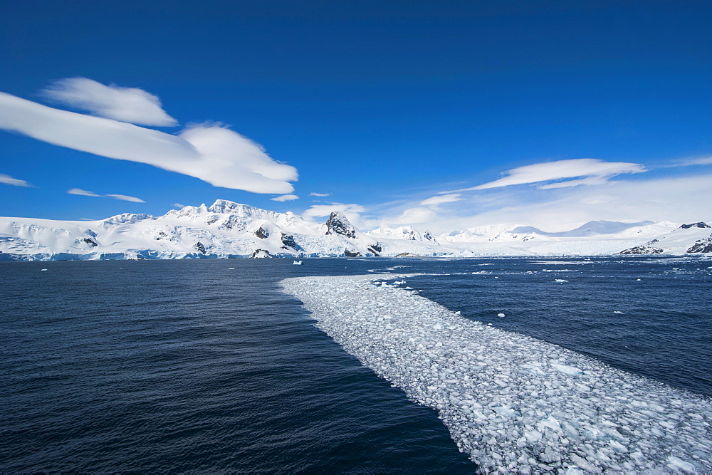 Ice on water, Cierva Cove, Antarctica, Polar Regions 