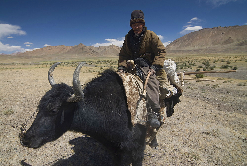 Man riding a yak, Pamir Highway, Tajikistan, Central Asia, Asia