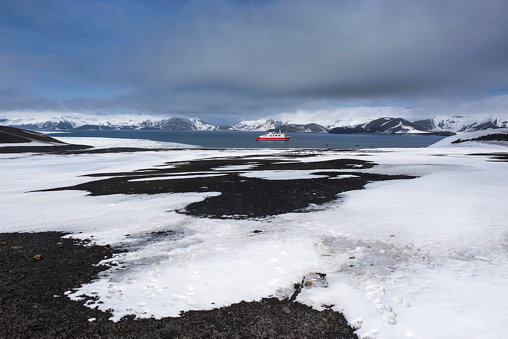 Cruise ship anchoring in the volcanic crater of Deception Island, South Shetland Islands, Antarctica, Polar Regions 