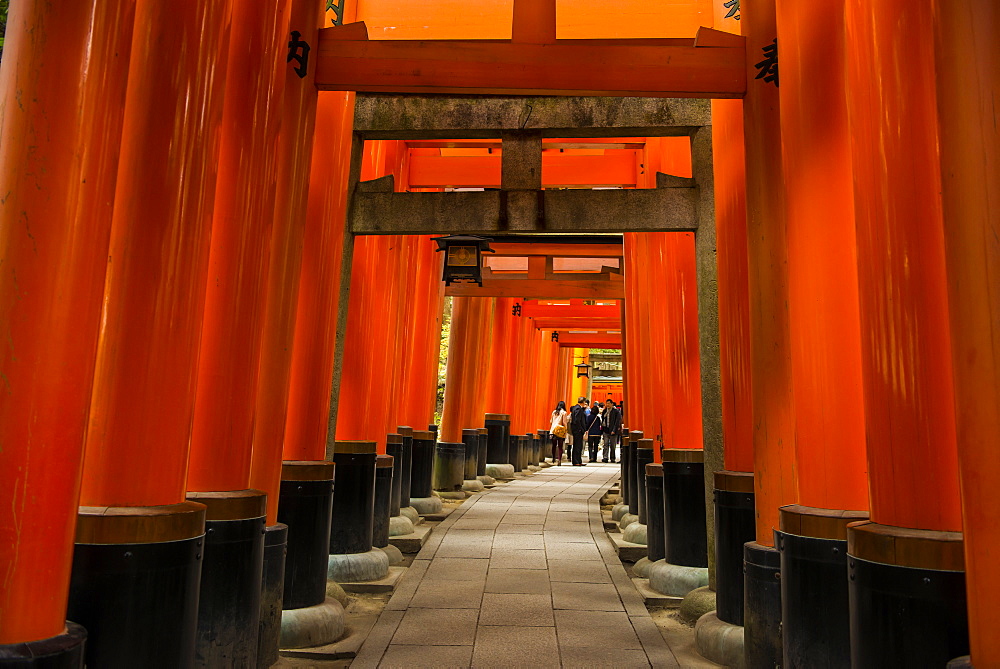 The Endless Red Gates of Kyoto's Fushimi Inari Shrine, Kyoto, Japan, Asia