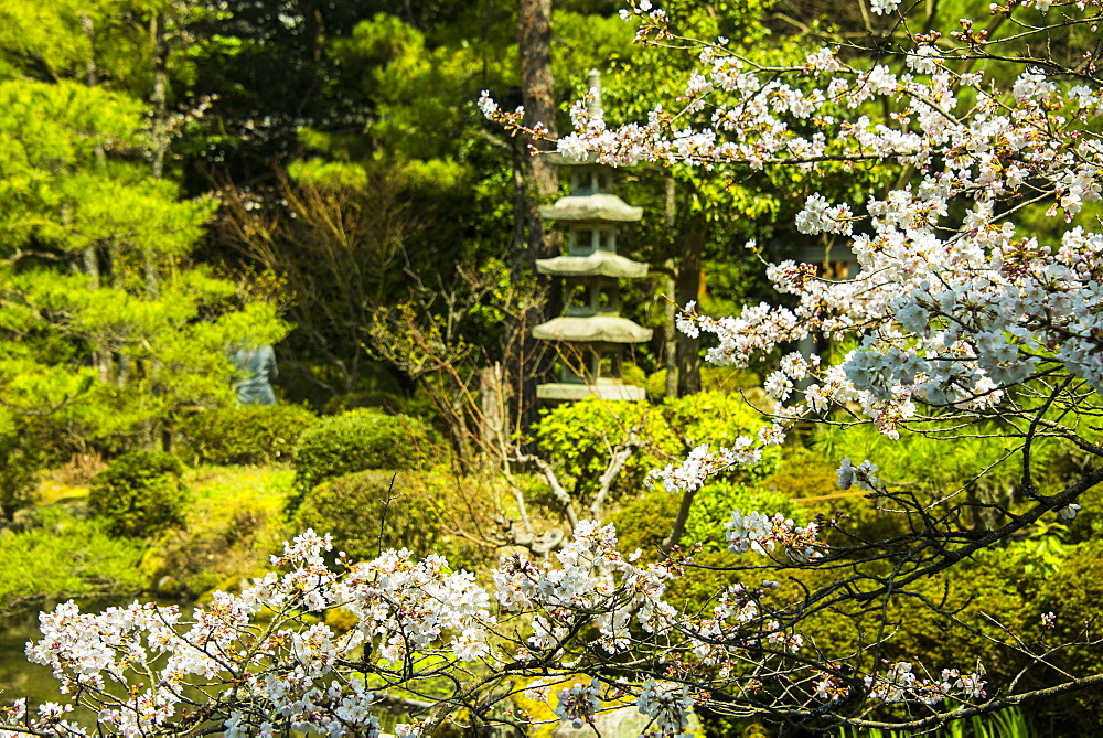 Okazaki Park in the Heian Jingu shrine, Kyoto, Japan, Asia