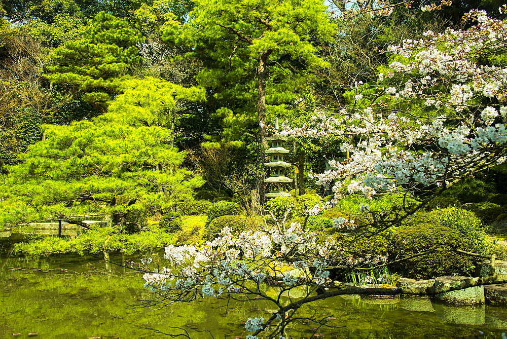 Okazaki Park in the Heian Jingu shrine, Kyoto, Japan, Asia