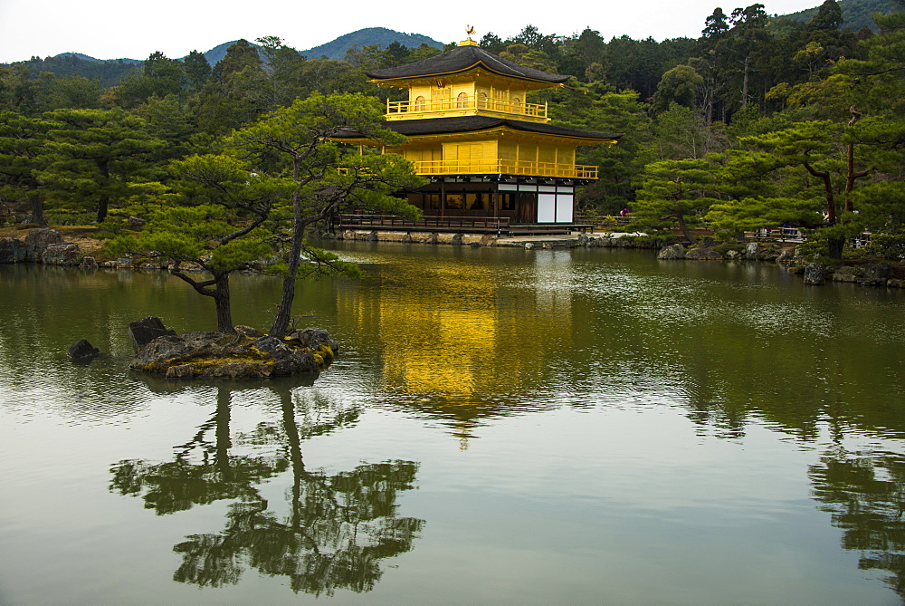 Kinkaku-Ji (Golden Pavilion) Buddhist Temple, UNESCO World Heritage Site, Kyoto, Japan, Asia