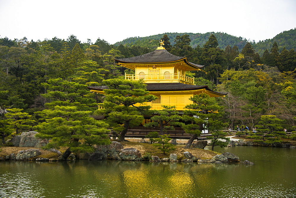 Kinkaku.Ji or golden pavillon buddhist temple,  Unesco world heritage sight Kyoto, Japan