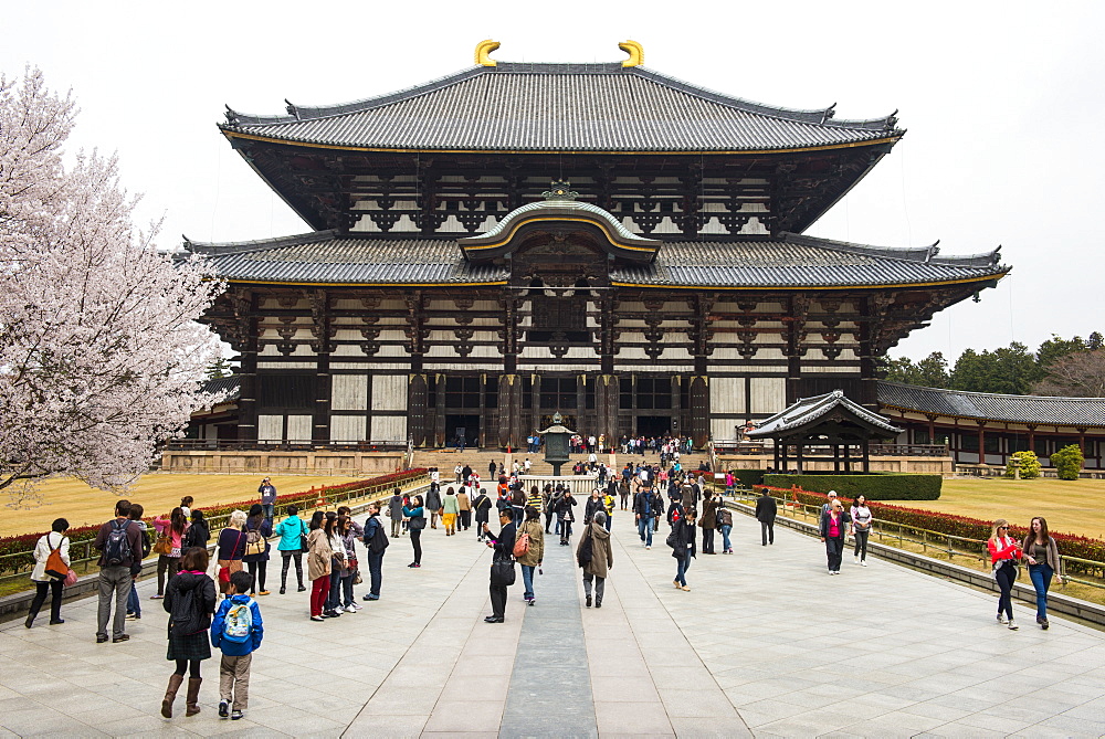 Todaiji Temple, UNESCO World Heritage Site, Nara, Kansai, Japan, Asia