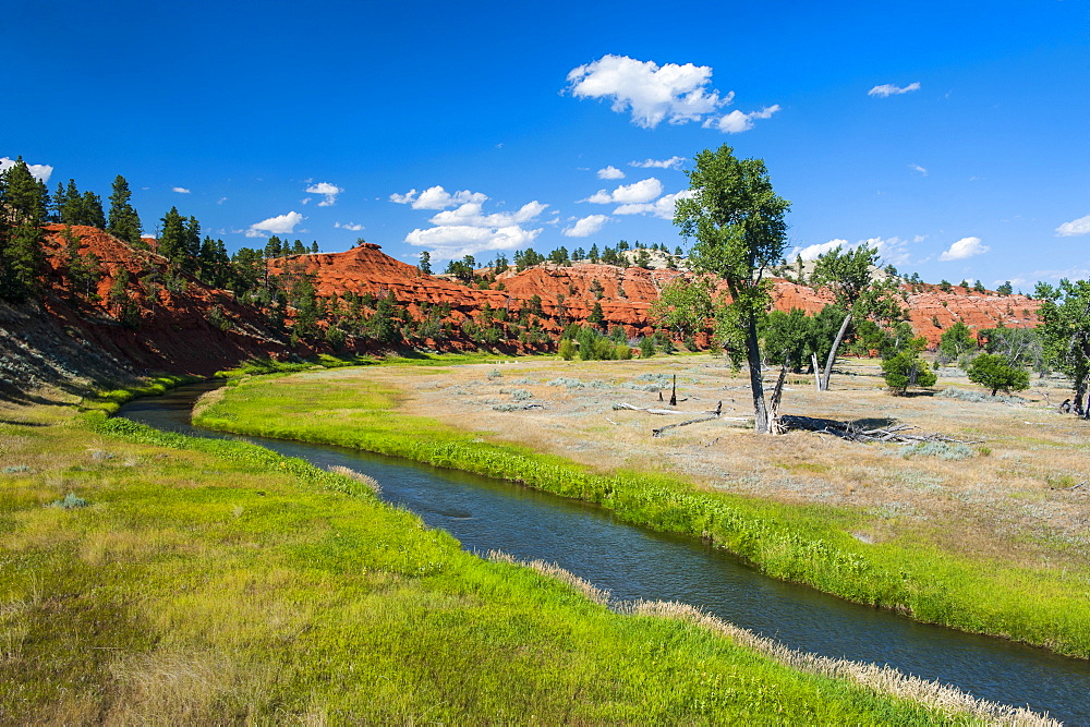 Red canyon in the background of a little creek, Devils Tower National Monument, Wyoming, United States of America, North America