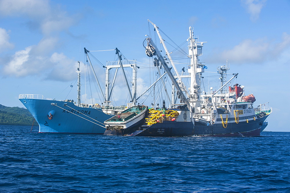 Chinese fishing trawlers, Pohnpei (Ponape), Micronesia, Central Pacific, Pacific