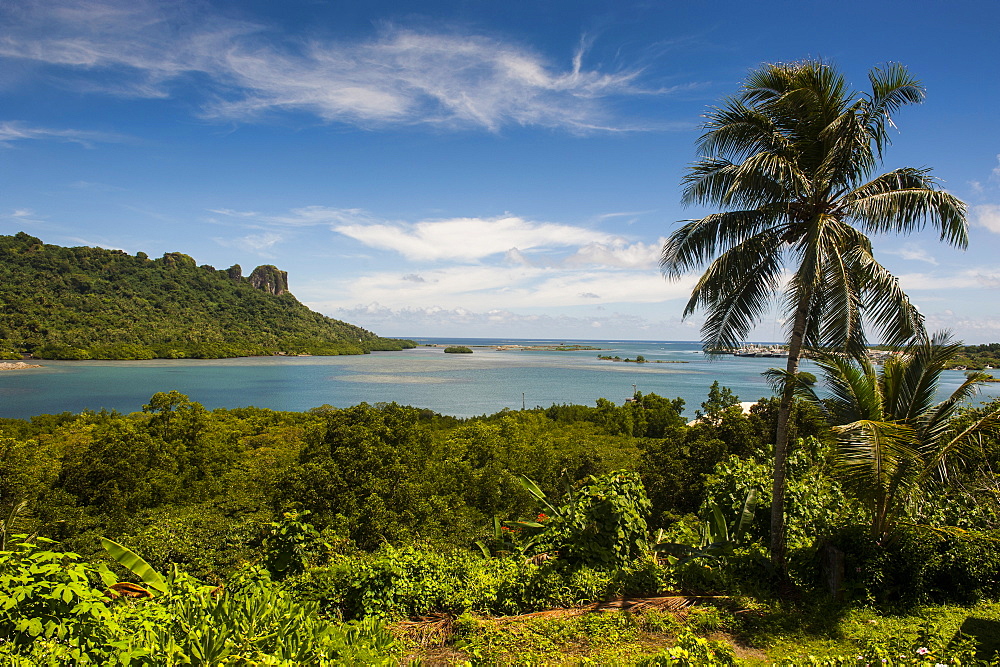 Lonely palm tree, Pohnpei (Ponape), Federated States of Micronesia, Caroline Islands, Central Pacific, Pacific 