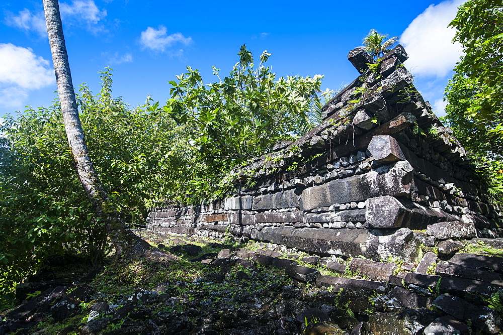 Ruined city of Nan Madol, Pohnpei (Ponape), Federated States of Micronesia, Caroline Islands, Central Pacific, Pacific 