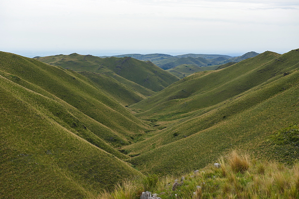 Open green field in the Pre-Cordillera north of Cordoba, Argentina, South America