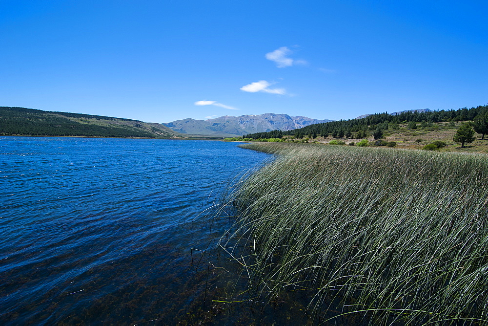 Lake above Esquel, Chubut, Patagonia, Argentina, South America 