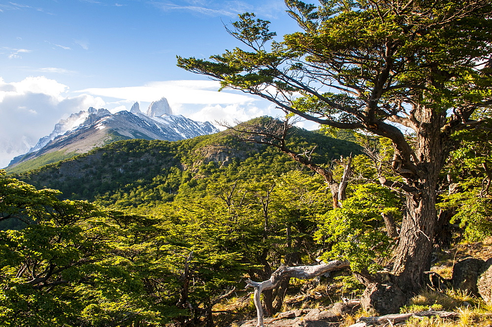 Trek up to Mount Fitzroy from the Unesco world heritage sight El Chalten, Argentina, South America