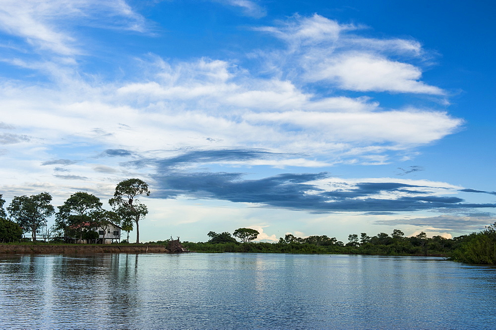 Trees reflecting in the water in a river in the Pantanal Conservation Area, UNESCO World Heritage Site, Brazil, South America 